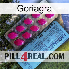 Goriagra 35